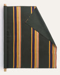 PENDLETON SUNBRELLA X PENDLETON BADLANDS STRIPE FABRIC