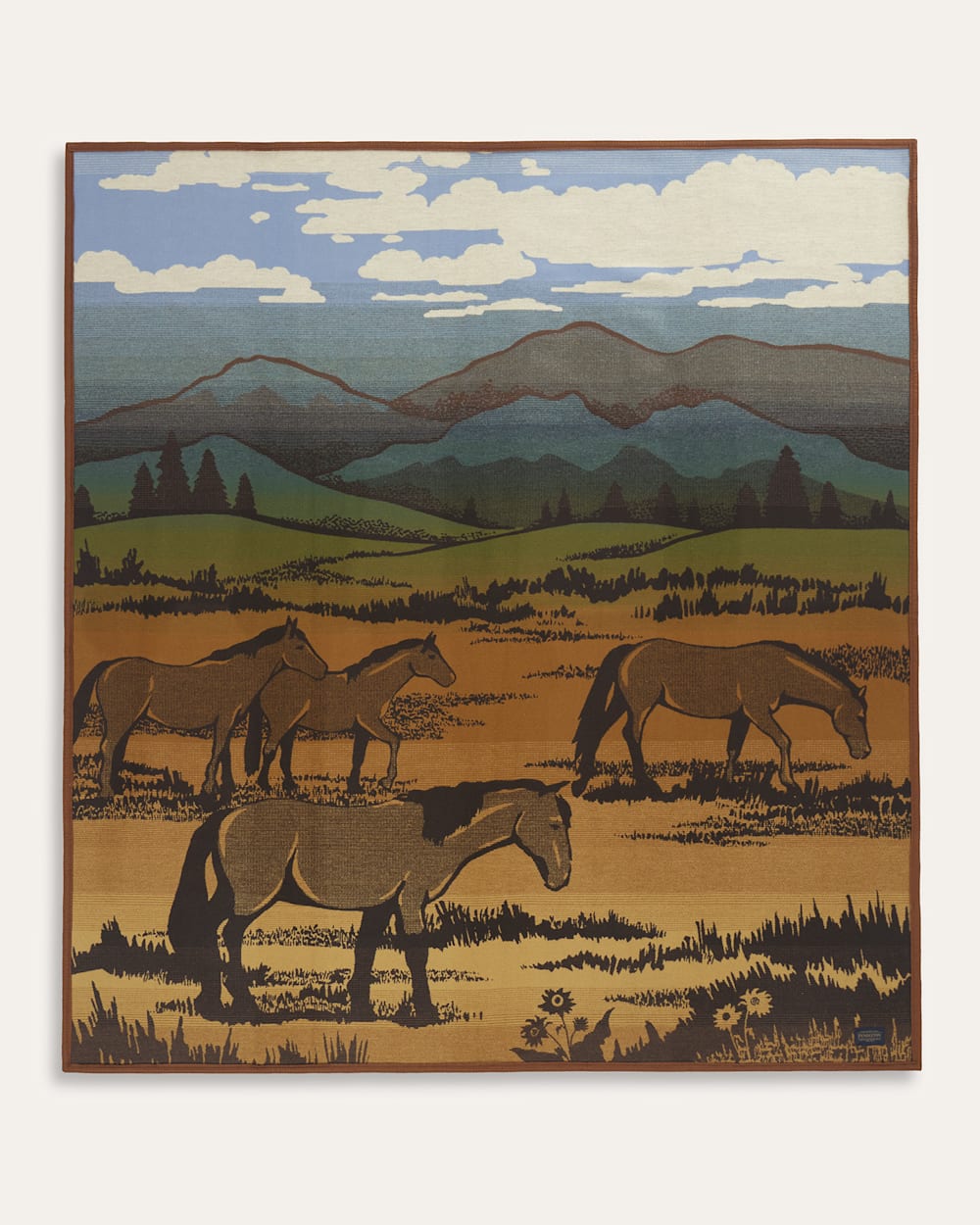 PENDLETON SHADOW MOUNTAIN BLANKET