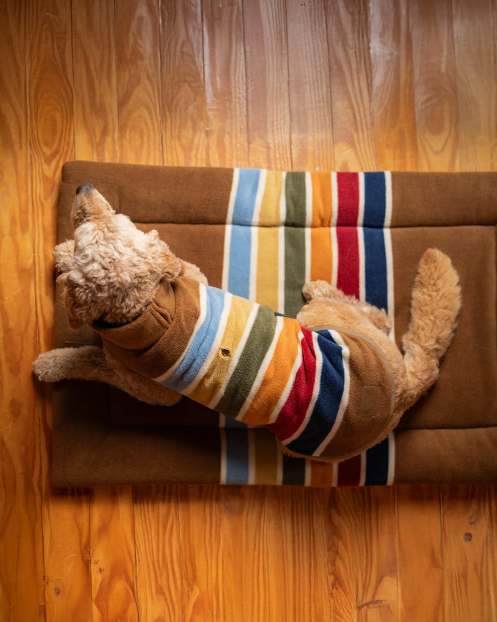 PENDLETON JOSHUA TREE NATIONAL PARK PET BED - COMFORT CUSHION