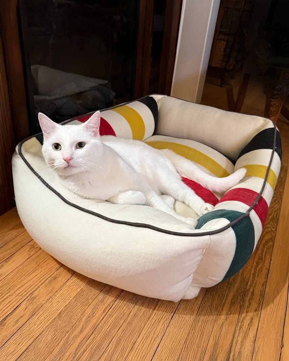 PENDLETON GLACIER NATIONAL PARK PET BED - KUDDLER
