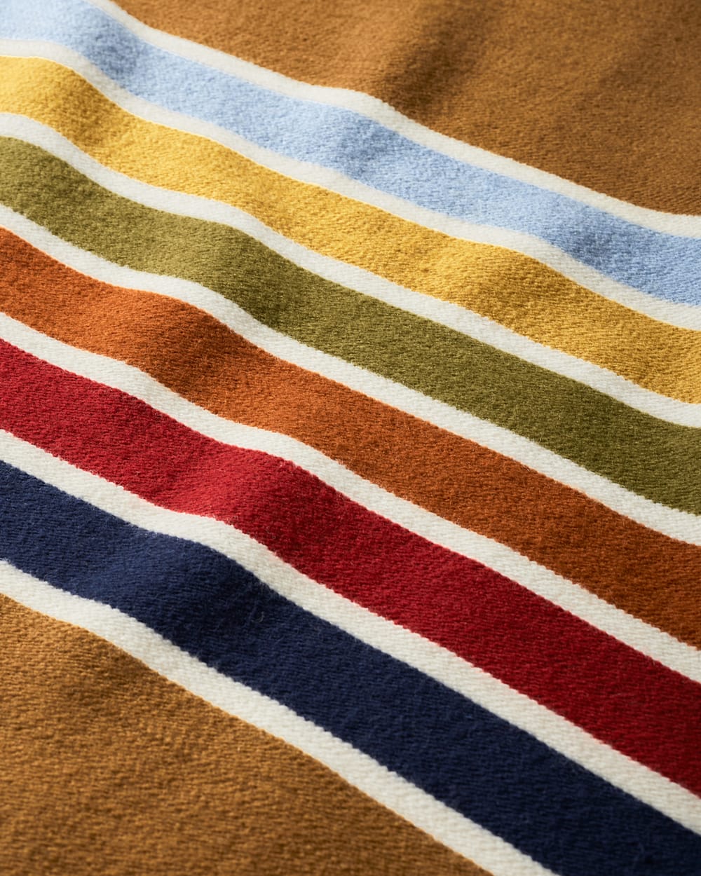 PENDLETON JOSHUA TREE NATIONAL PARK THROW WITH CARRIER