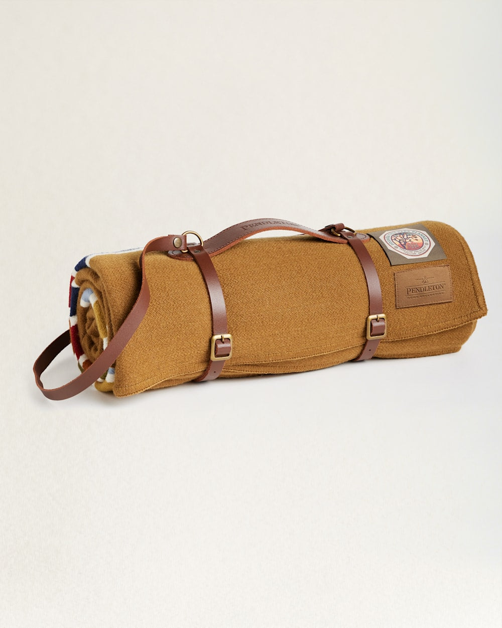 PENDLETON JOSHUA TREE NATIONAL PARK THROW WITH CARRIER