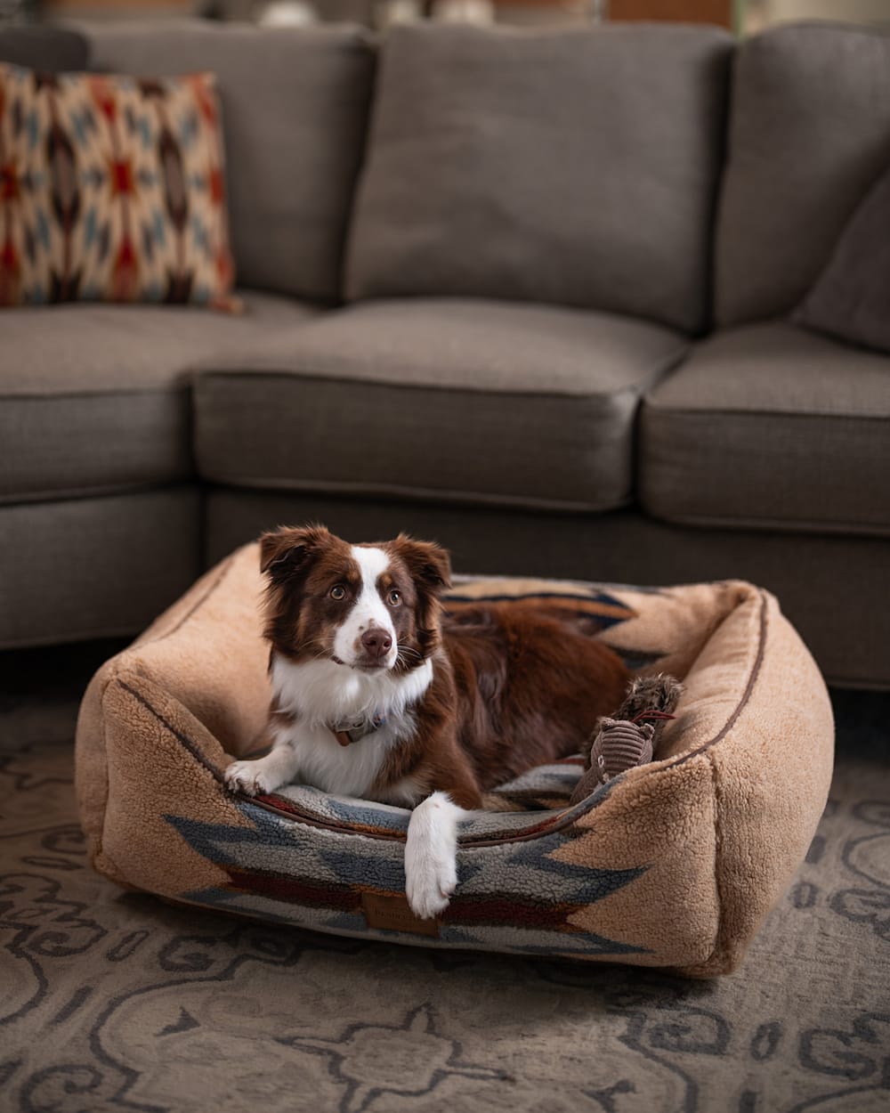 PENDLETON WYETH TRAIL PET BED - KUDDLER